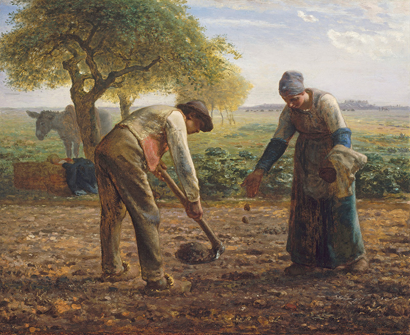 potato planters